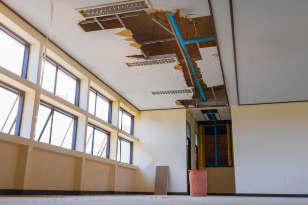 Best Professional water damage repair  in Pico Rivera, CA