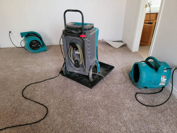 Best Water damage restoration services  in Pico Rivera, CA