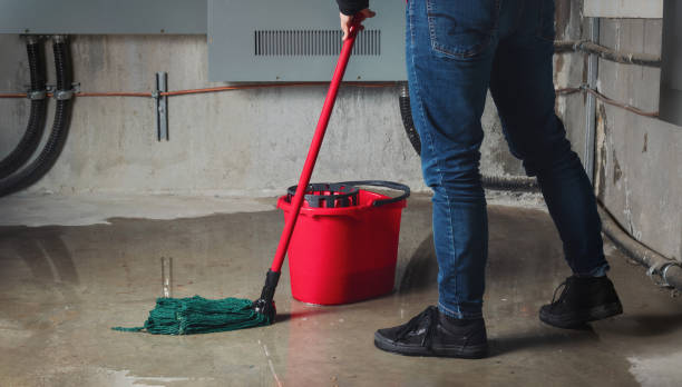Trusted Pico Rivera, CA Water damage restoration Experts