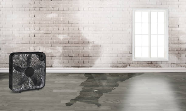 Best Flood restoration services  in Pico Rivera, CA