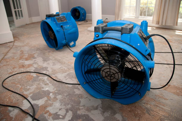 Best Water damage restoration near me  in Pico Rivera, CA