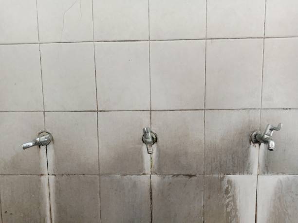 Best Commercial water damage restoration  in Pico Rivera, CA