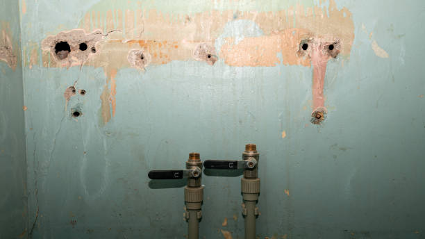 Best 24/7 water damage repair  in Pico Rivera, CA