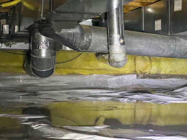 Best Carpet water damage restoration  in Pico Rivera, CA