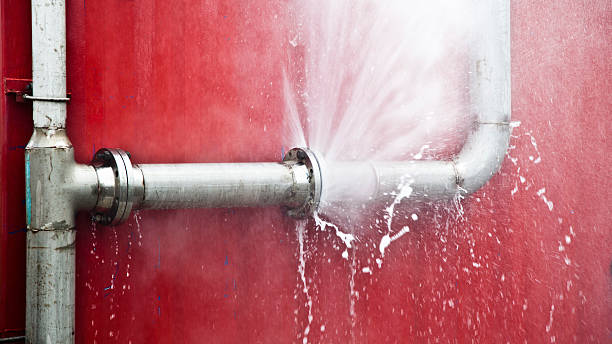 Best Local water damage restoration  in Pico Rivera, CA